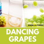 How to Make Your Own Dancing Grapes Experiment With Kids