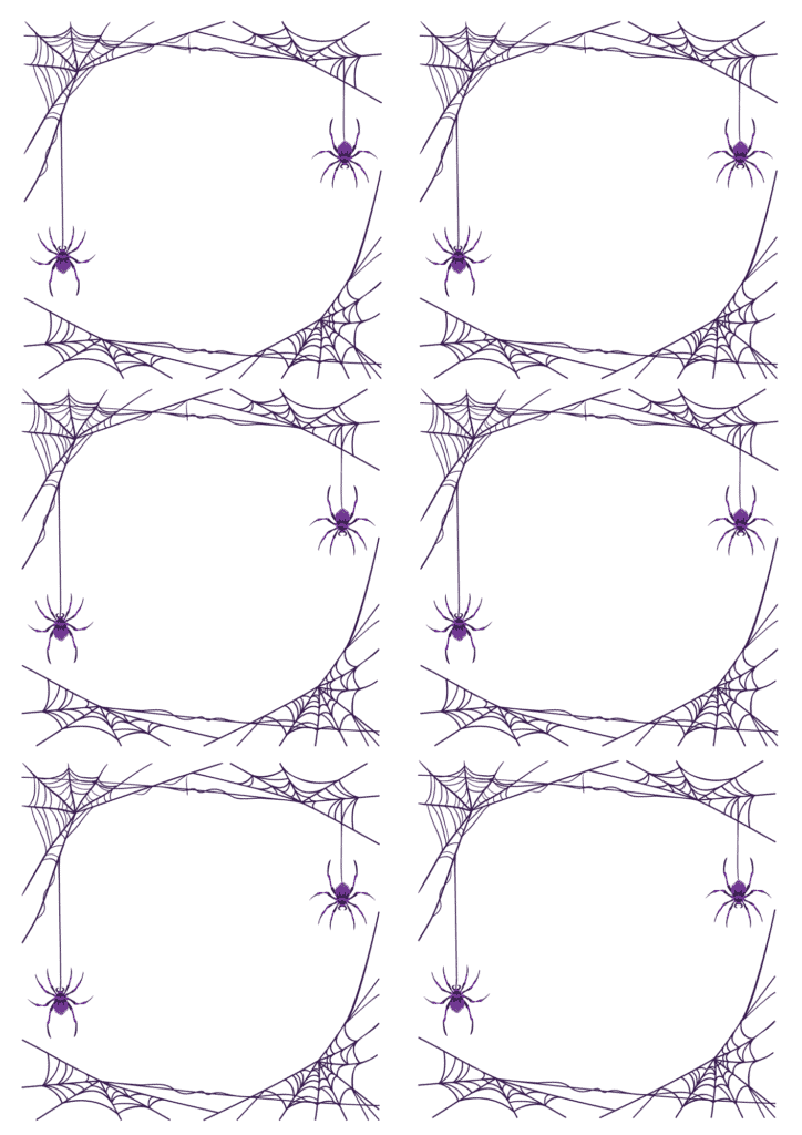 spider web cards