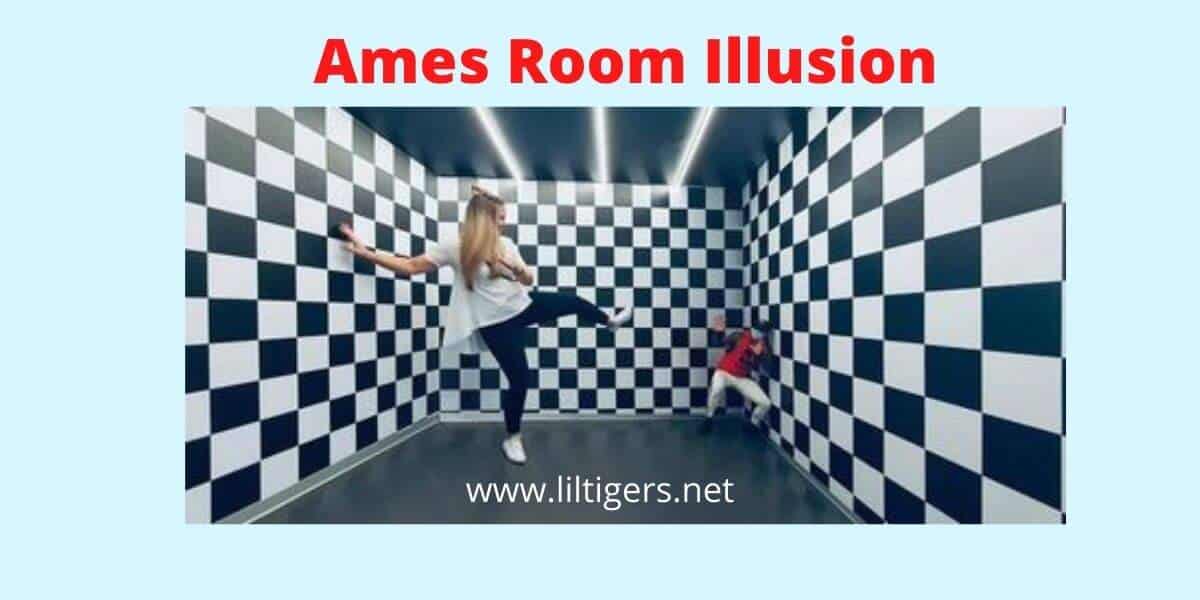 The Ames Room Illusion
