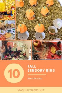 fall sensory bin ideas