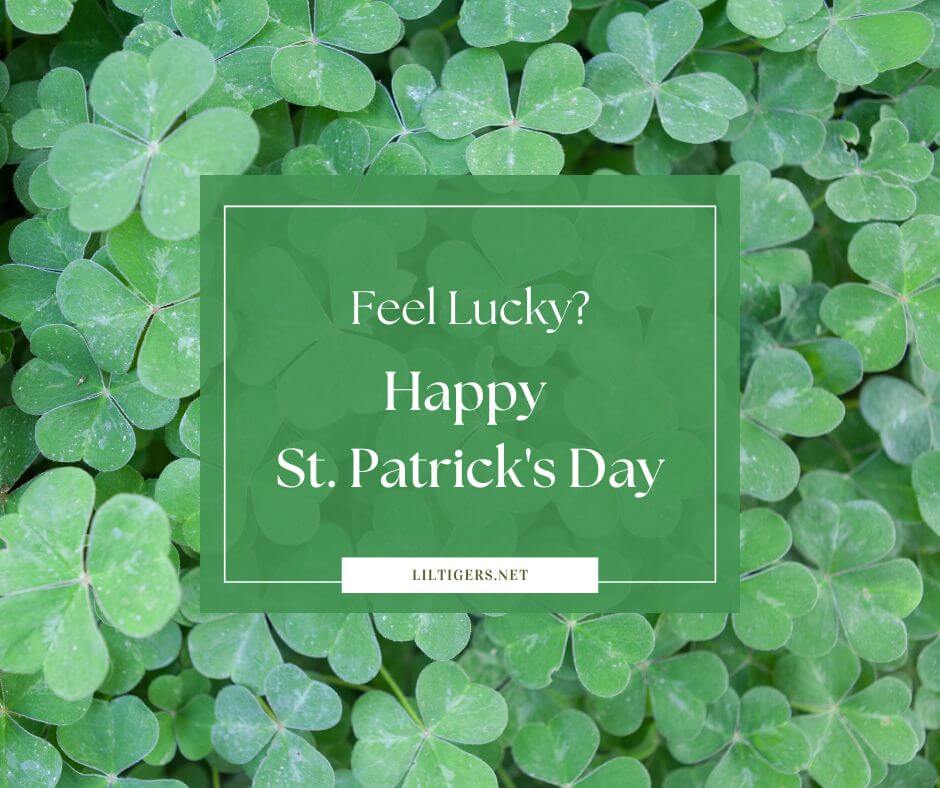 st. patricks day wishes for kids