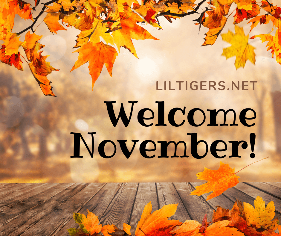 welcome november quotes and sayings