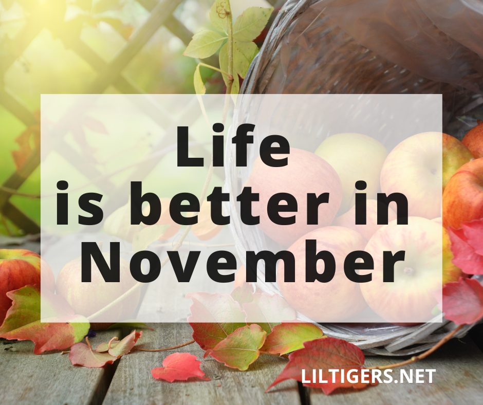 welcome november quotes