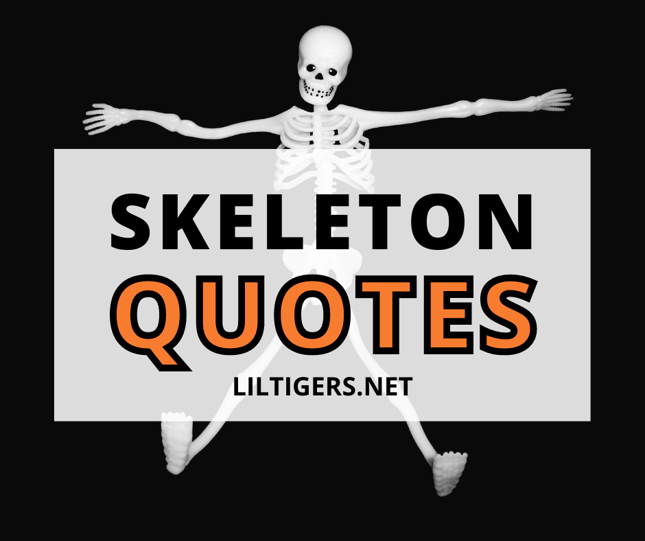 30 Best Skeleton Quotes, Sayings & Puns Lil Tigers