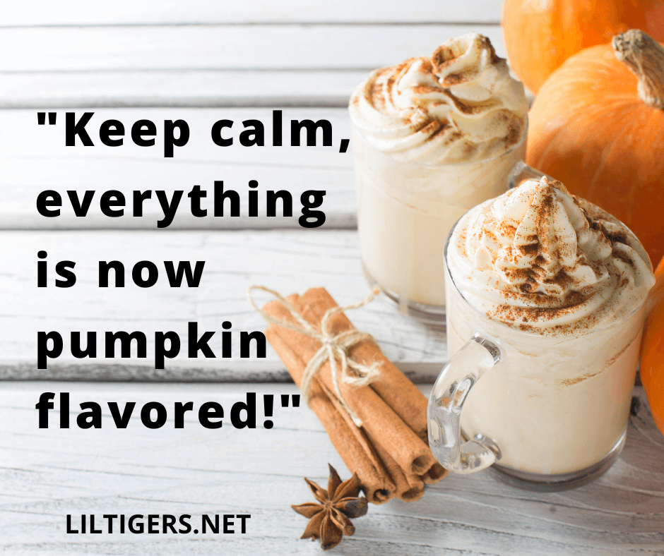 pumpkin sayings 