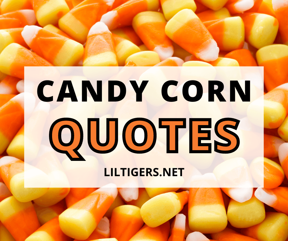 35 Best Candy Corn Quotes, Sayings & Captions - Lil Tigers