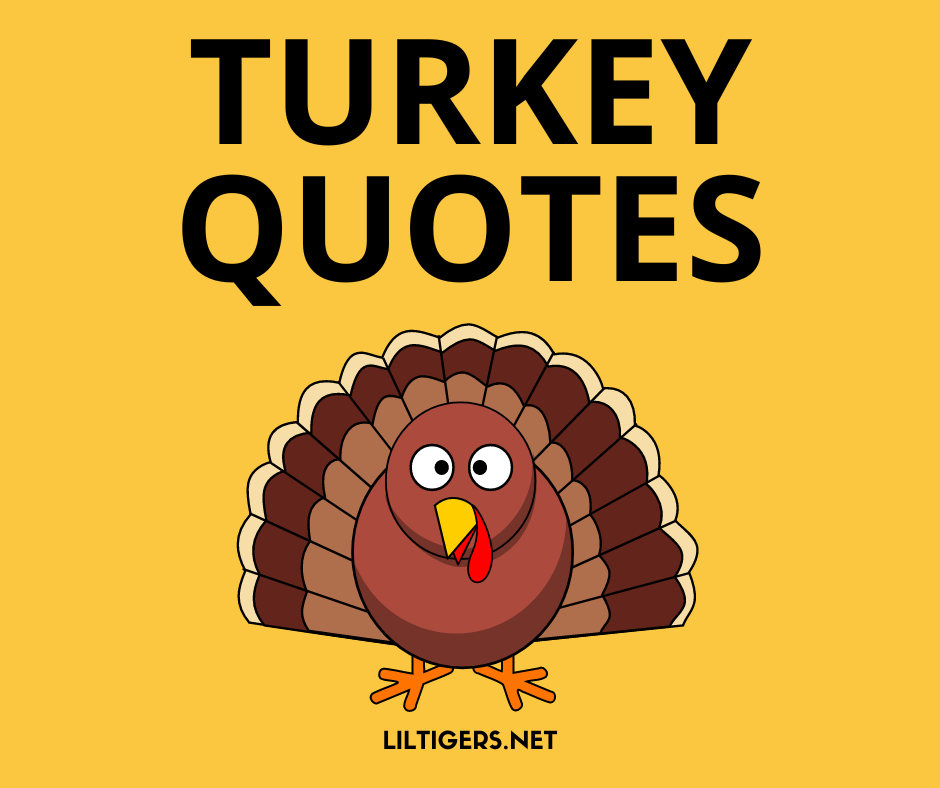 50 Best Turkeys Quotes for Thanksgiving - Lil Tigers