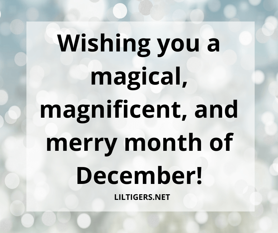 happy december quotes and wishes