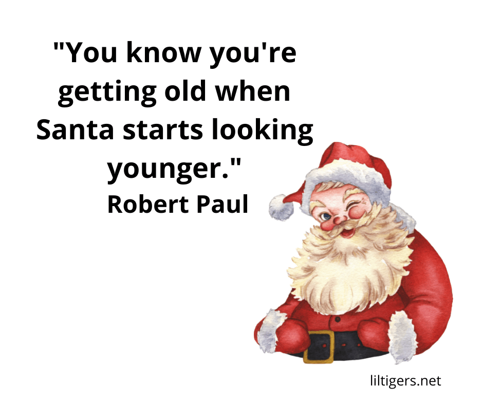 funny santa puns