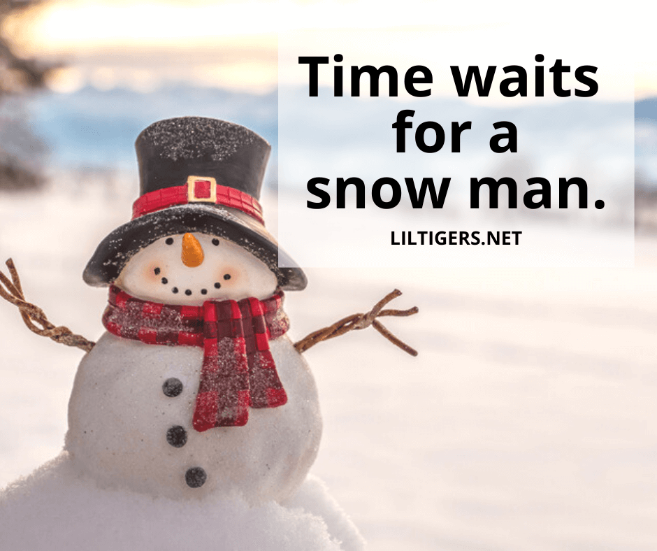 75 Best Snow Quotes and Sayings - Lil Tigers