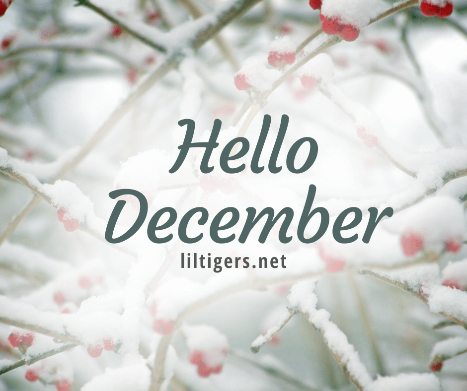 160 Best Hello December Quotes, Sayings, & Wishes (2022)