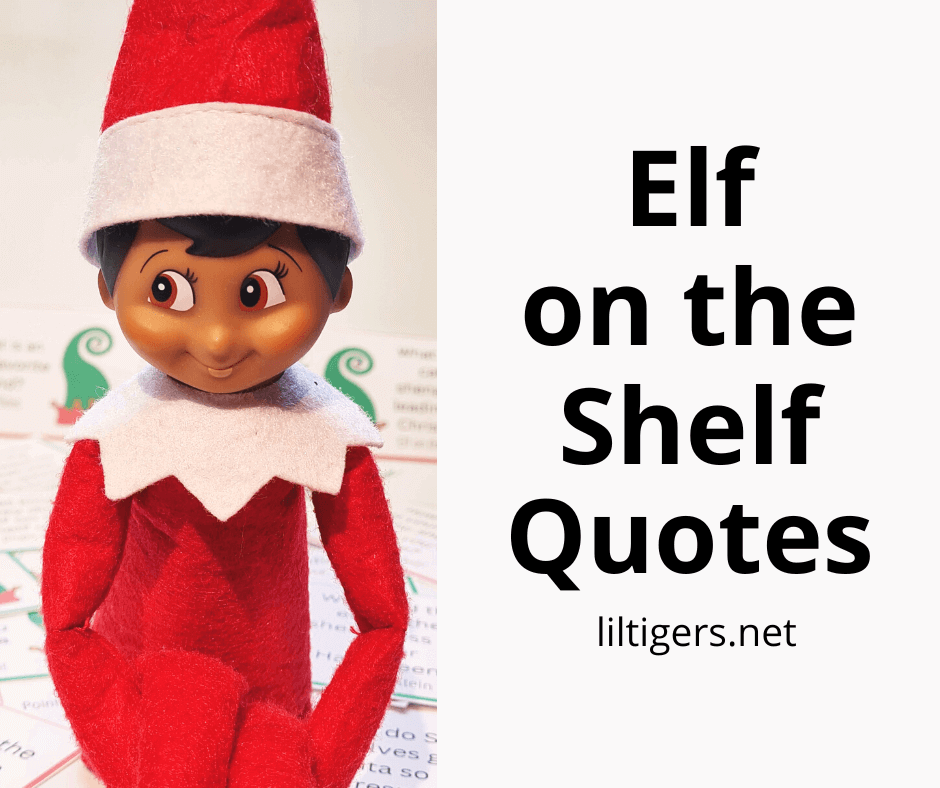 funny kids elf on the shelf quotes