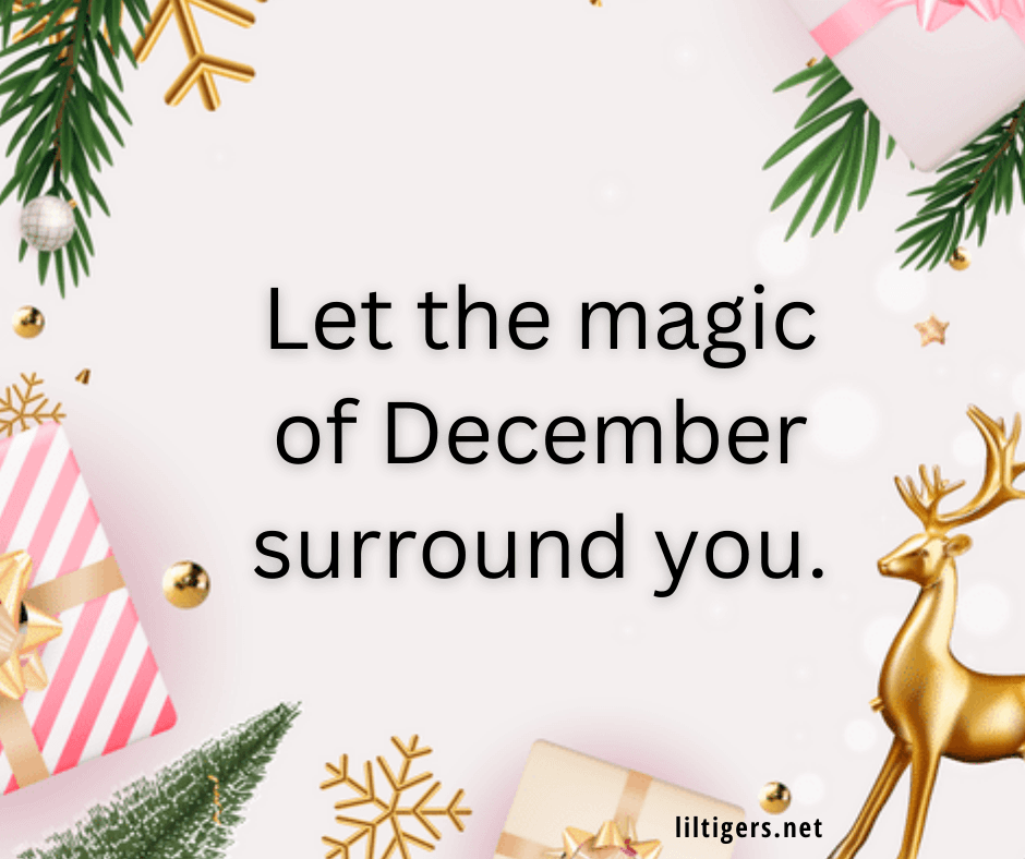 magical december quotes