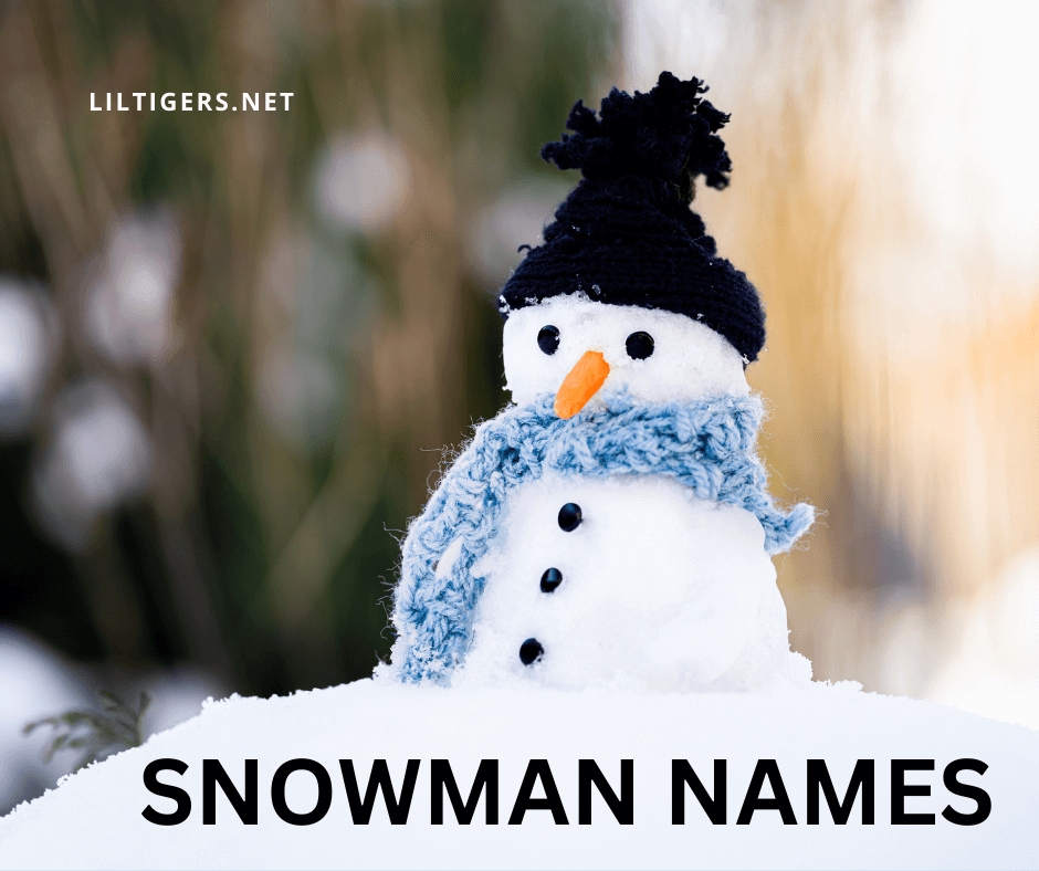 best snowman names