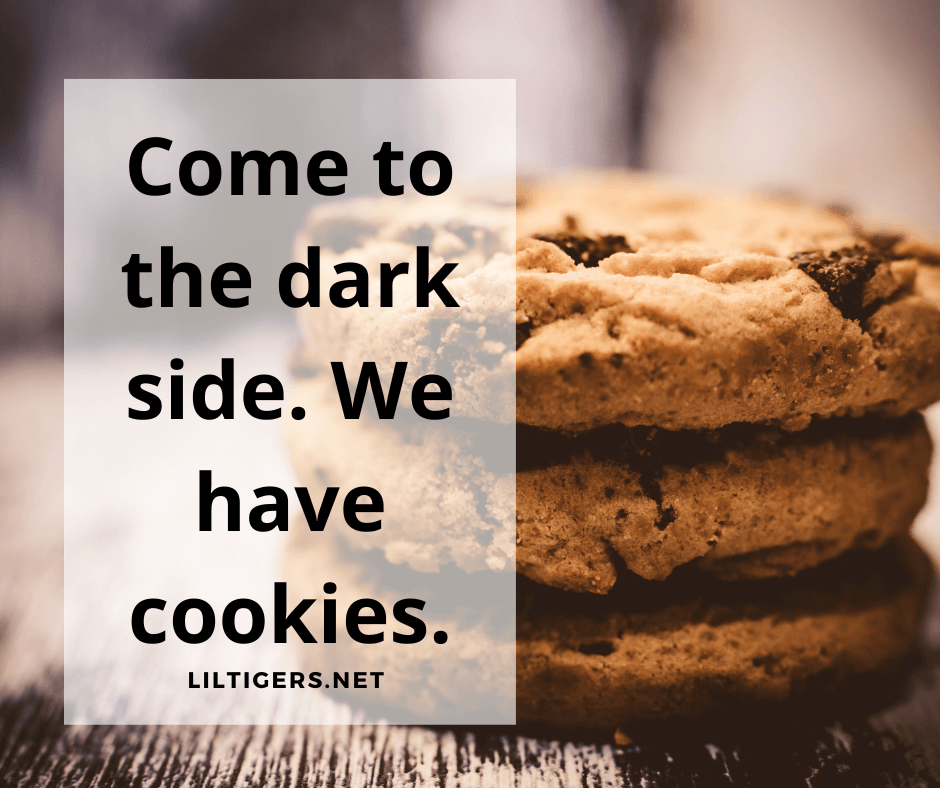 fun cookie captions