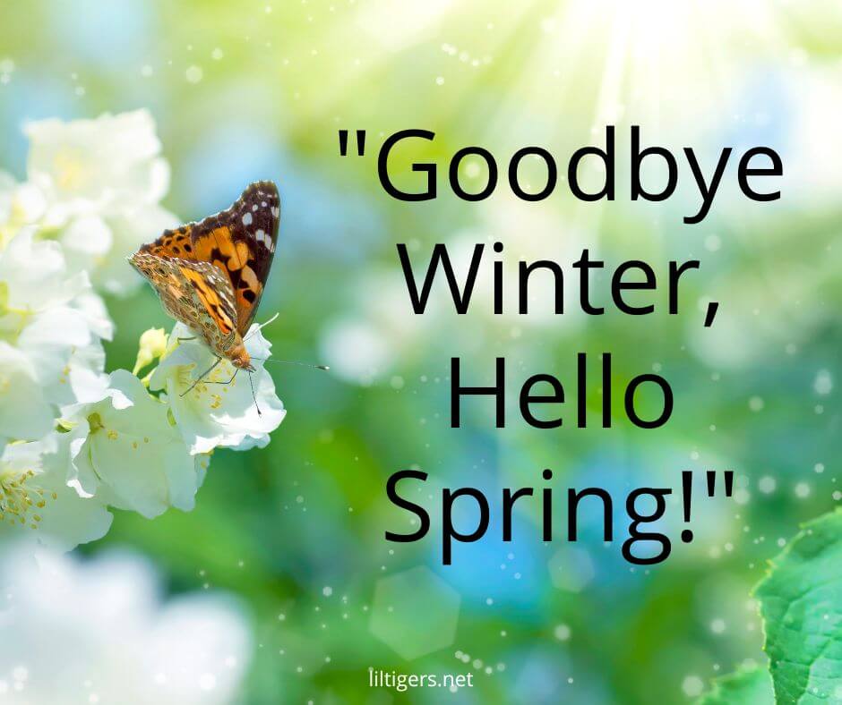 hello spring quotes for kids