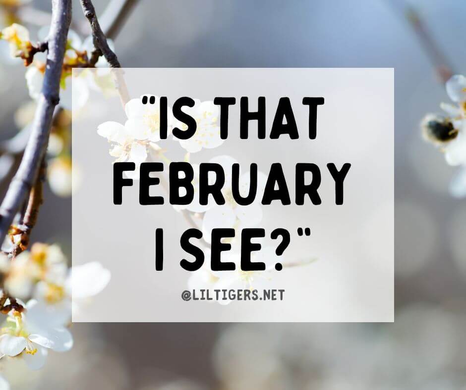 happy February quotes