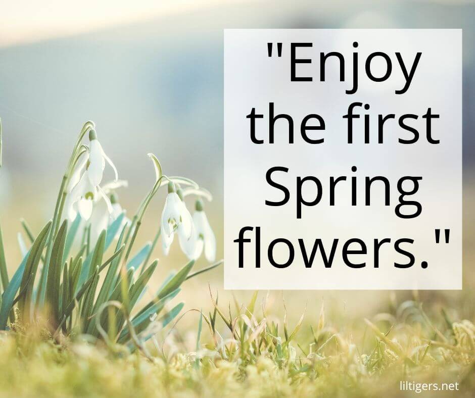 welcome spring sayings for kids