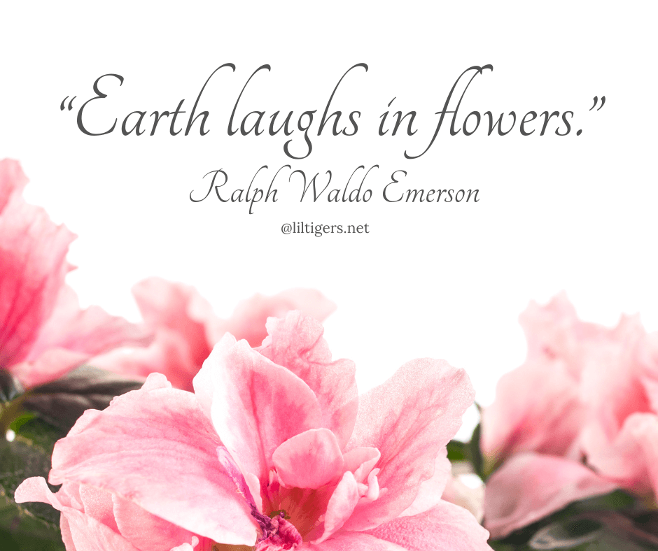 Quotes About Flowers
