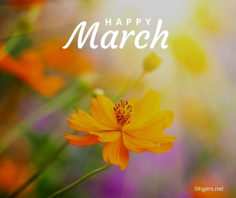 happy march quotes for kids