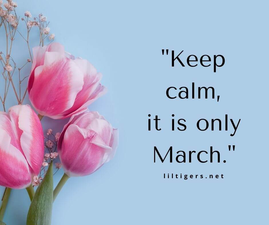 sweet march sayings
