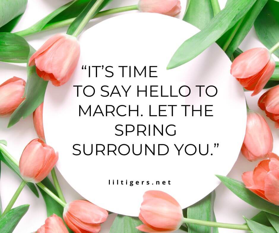 hello march quotes
