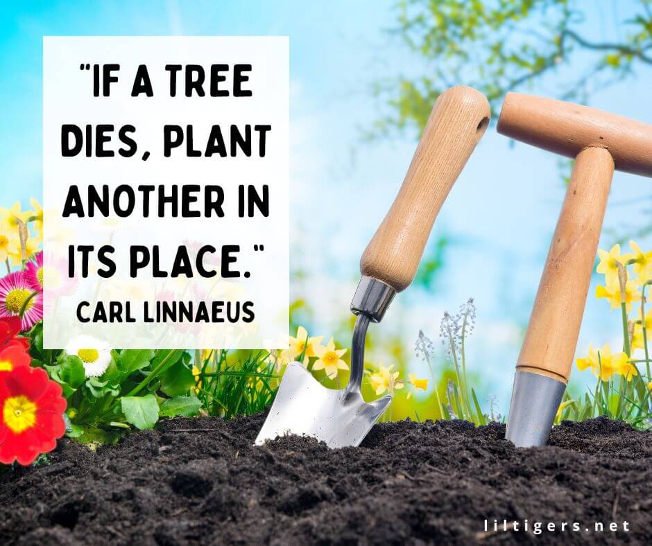 plant quotes for kids