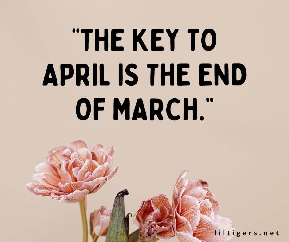funny April quotes and sayings