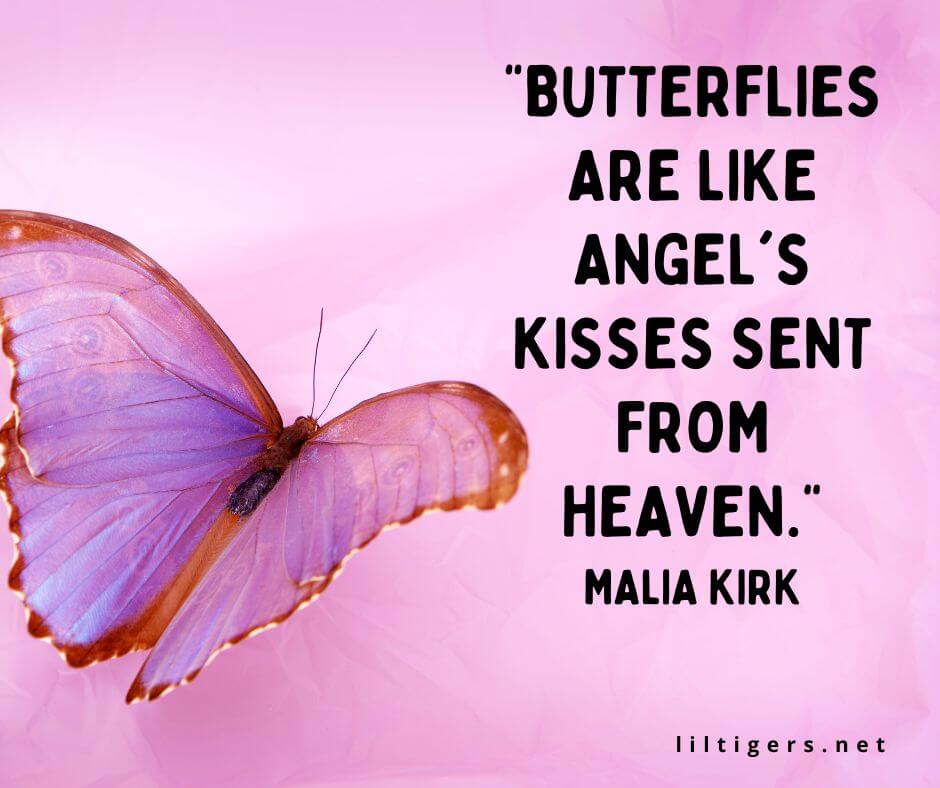 kids butterfly sayings