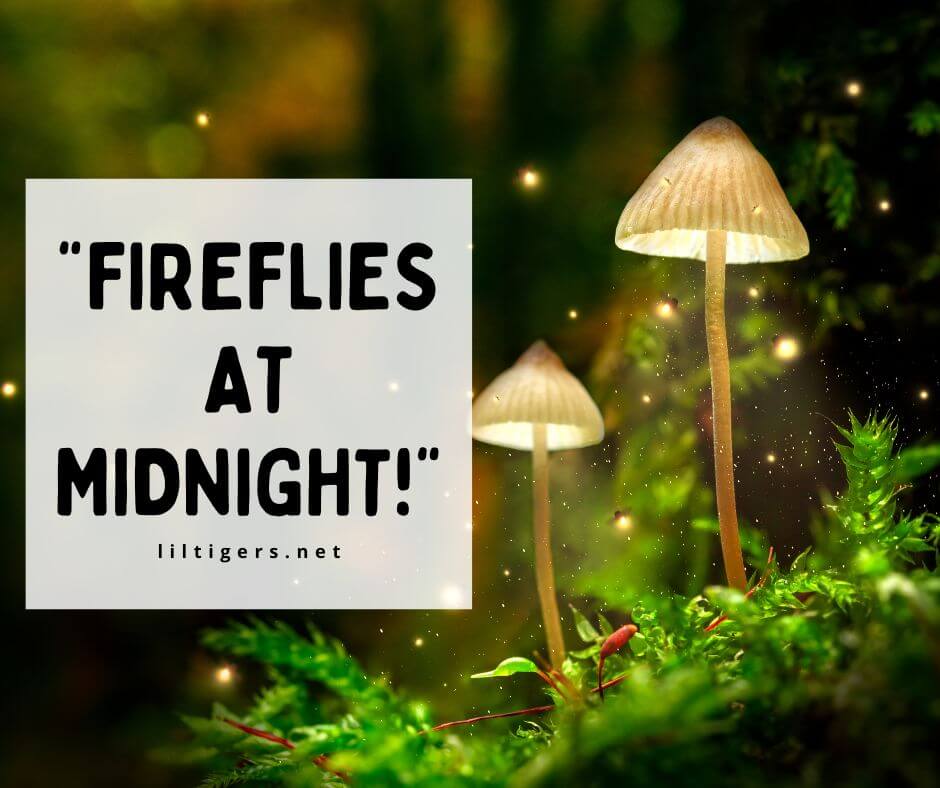 magical fireflies quotes for kids