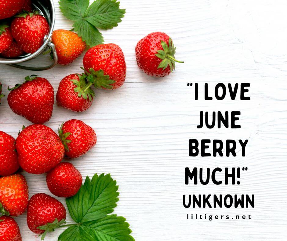 Funny June Quotes for Kids