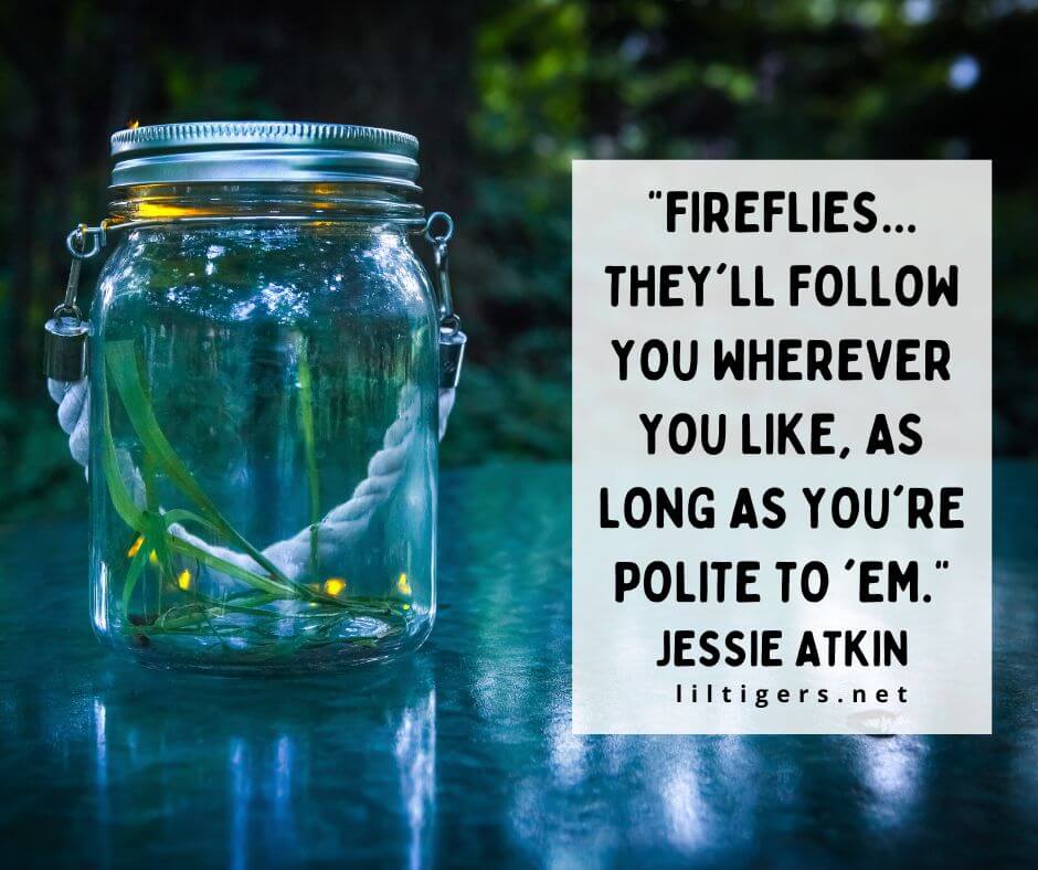 quotes about firefly