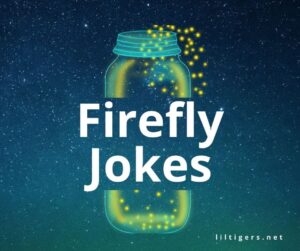 funny firefly jokes for kids
