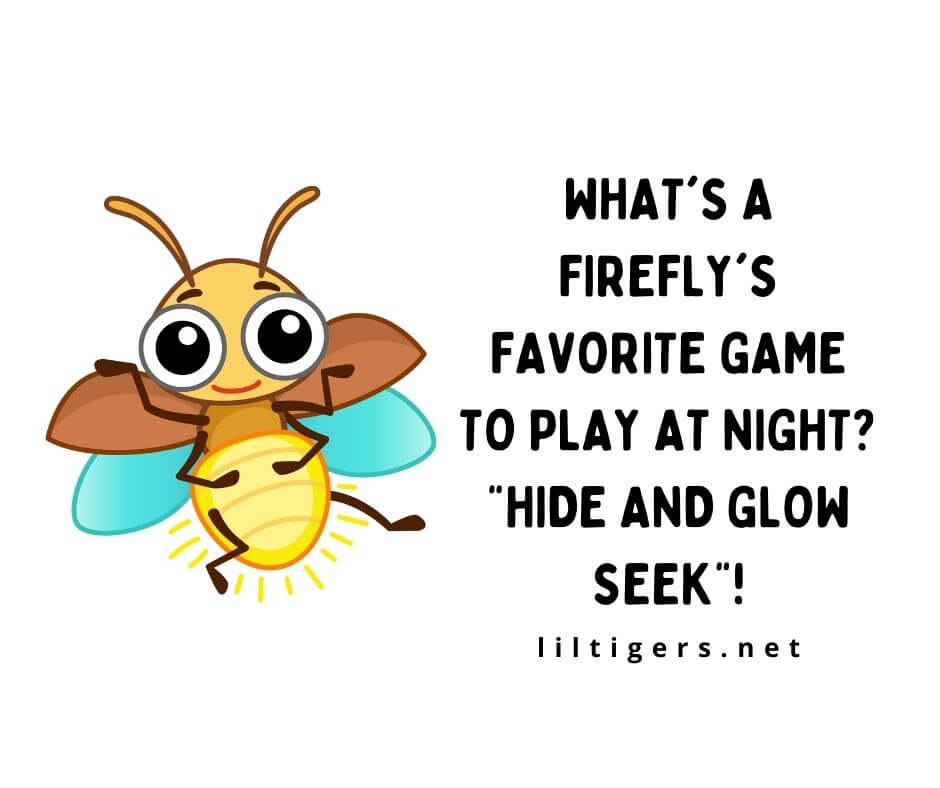 Funny Firefly Jokes for Adults and Kids