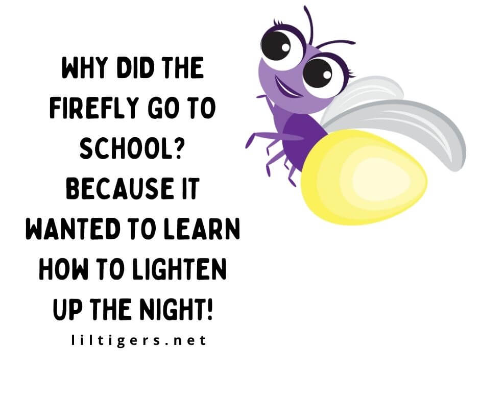 catchy firefly jokes for kids