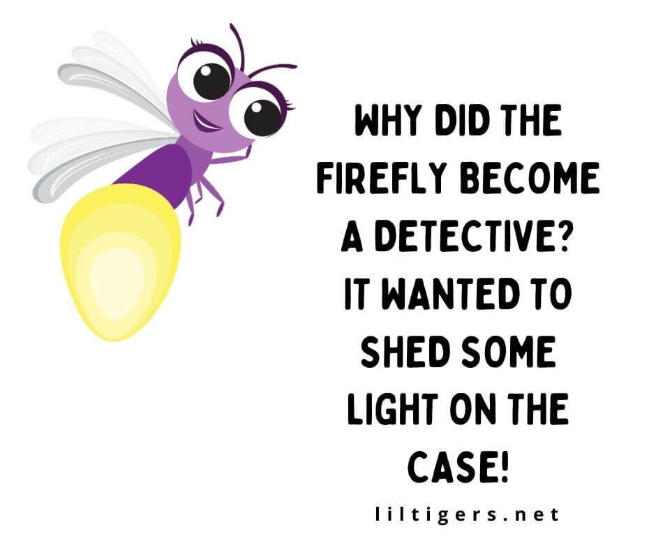 Jokes about Fireflies