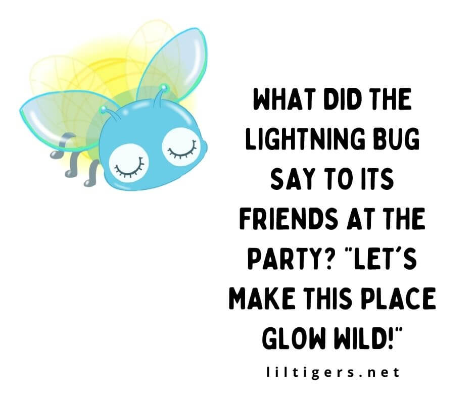 Lightening Bug Jokes