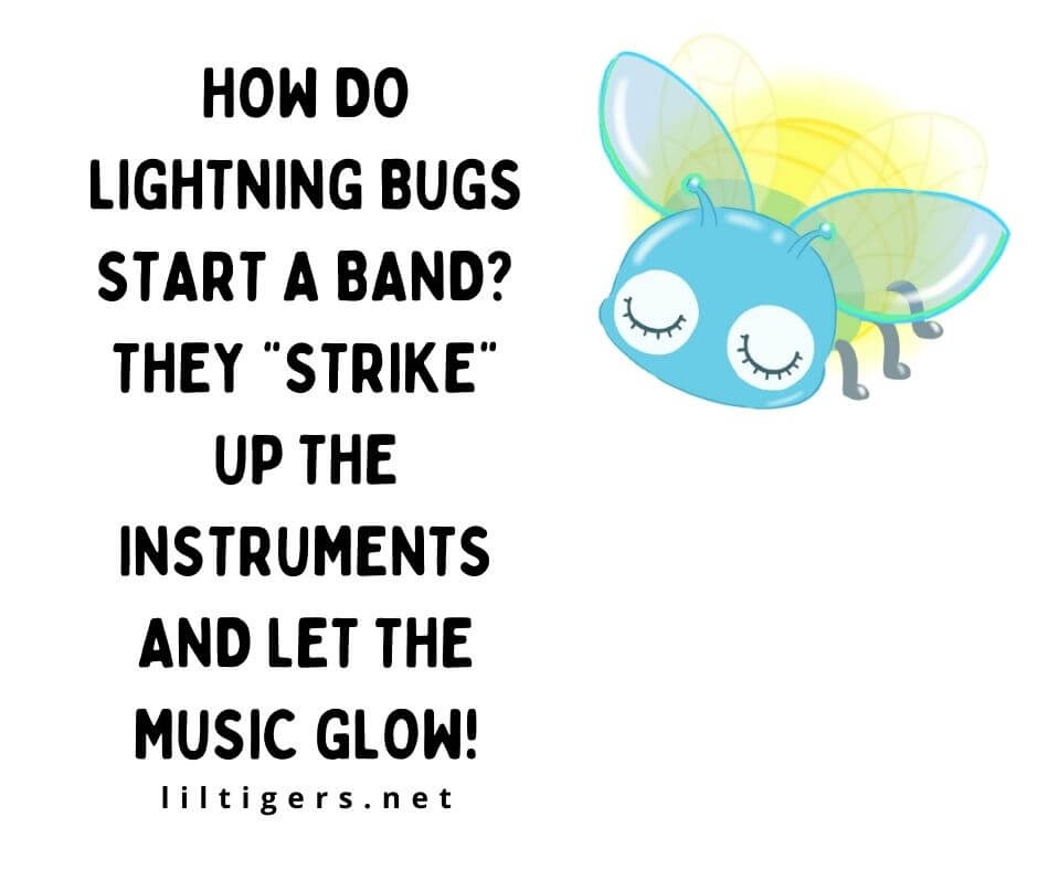 fun lightening bug jokes 